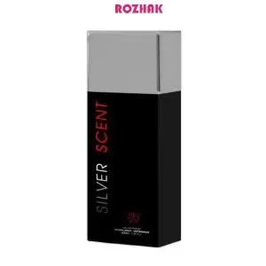 عطر جیبی مردانه ان وی مدل سیلور سنت حجم 30 میلی لیتر