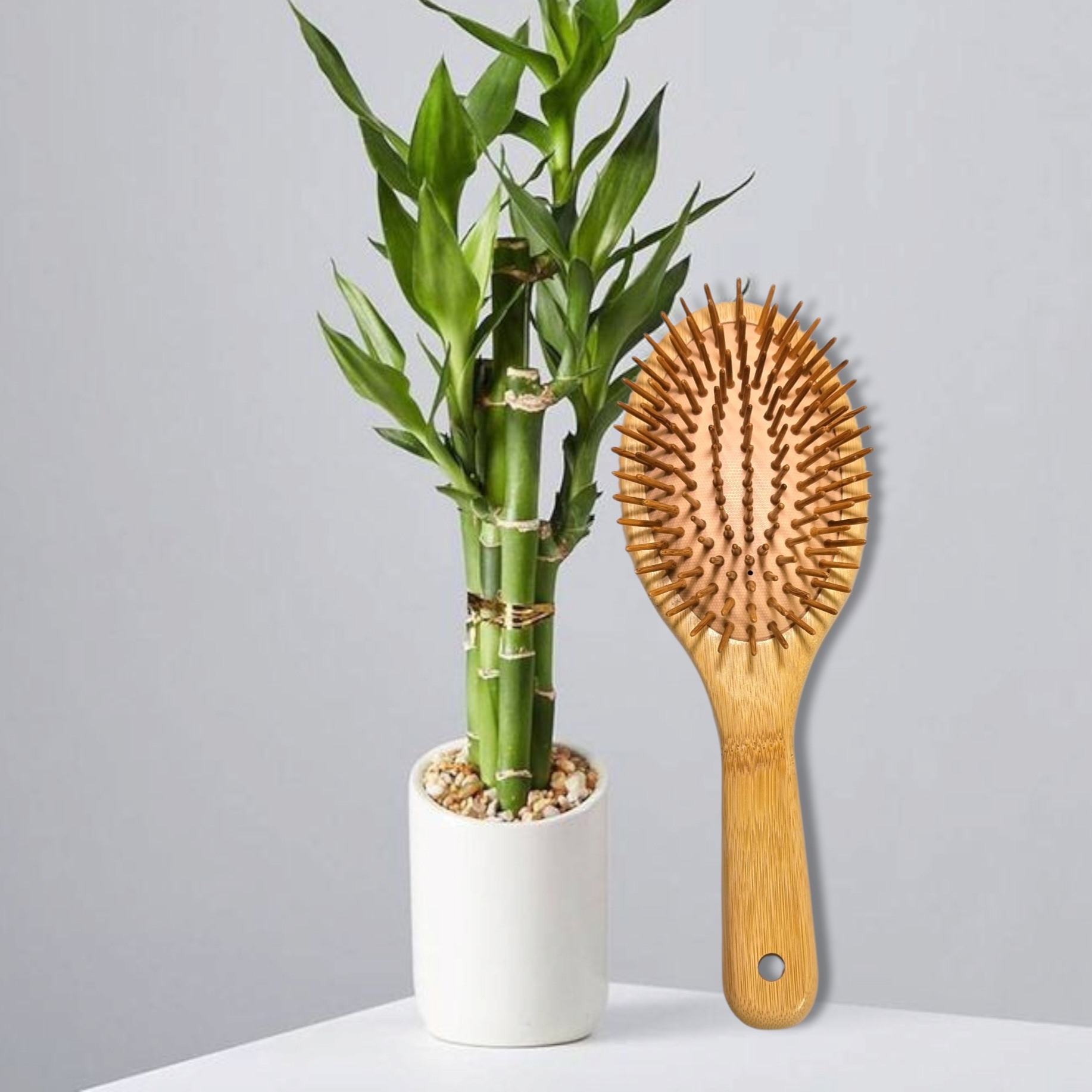 برس مو مدل چوبی بامبو 500